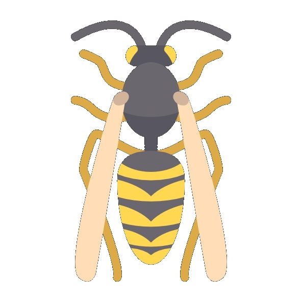 Guêpe